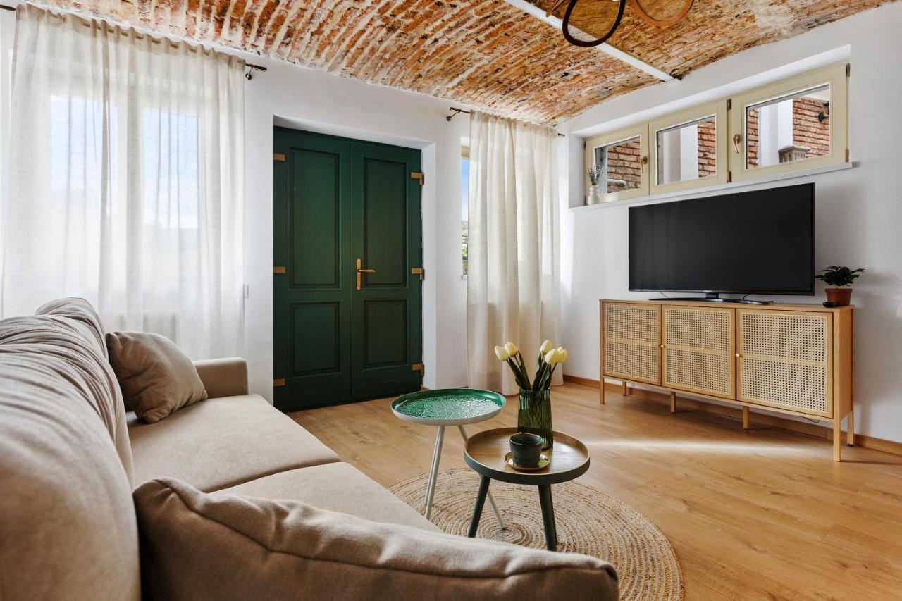 Roua Ludica Apartments 布拉索夫 外观 照片