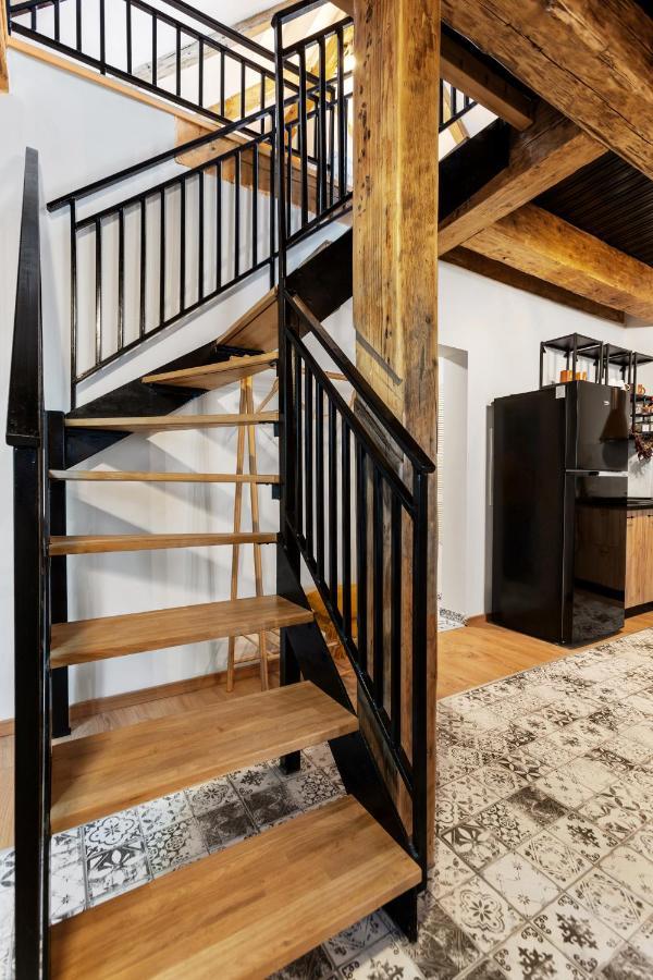 Roua Ludica Apartments 布拉索夫 外观 照片